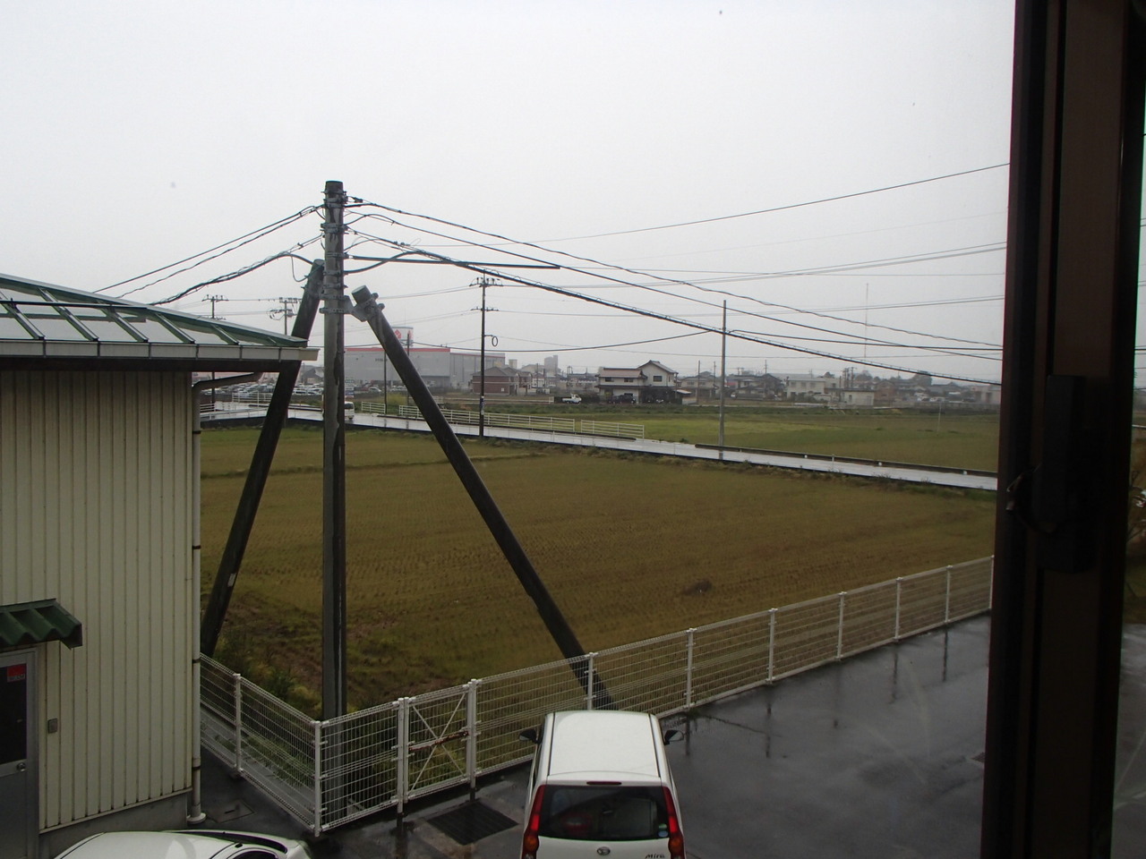 雨ですね…